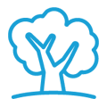 Tree Icon